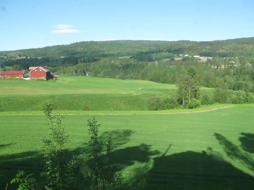 Sogn Gjestegard Svarstad  Værelse billede